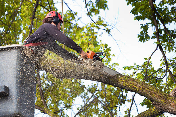 Soil Testing and Treatment in Edmundson, MO